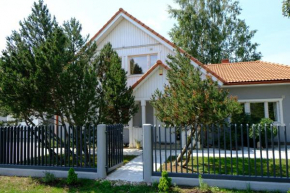 Geltondvaris Palanga